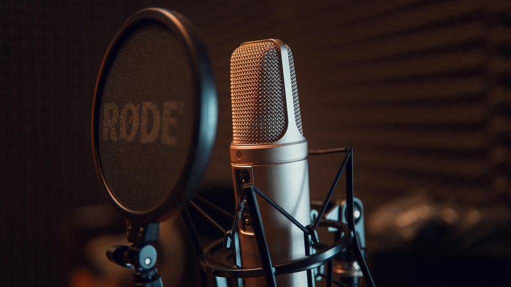 XLR cables, connectors, and microphones